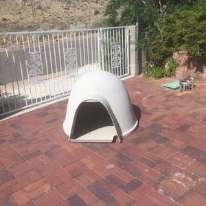 Dog igloo for $35